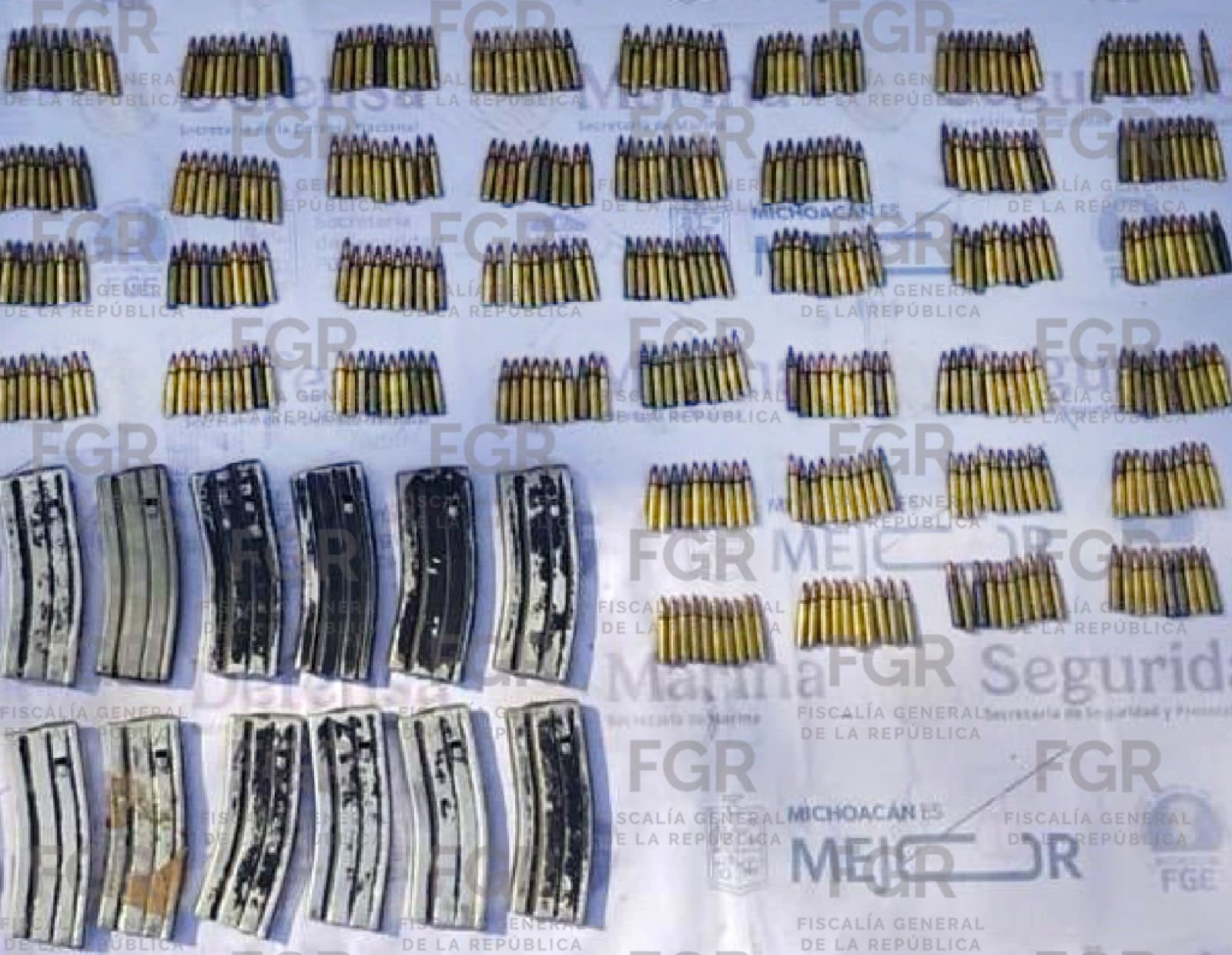 Por la probable posesión de cargadores y cartuchos, FGR obtiene vinculación a proceso en contra de una persona