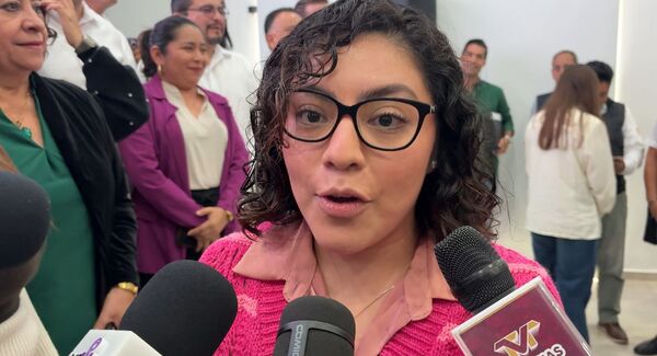 Incrementará costo de reemplacamiento a partir de febrero: Lupita Tamayo