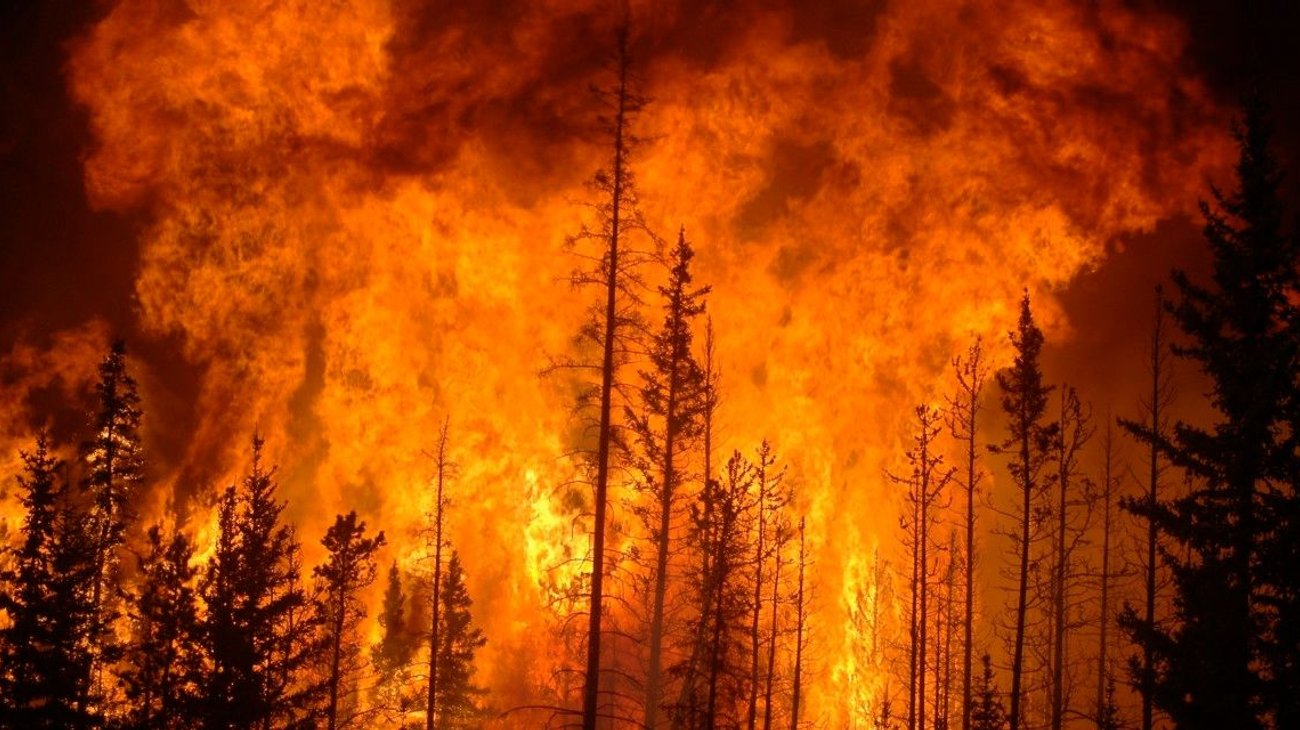 México expresa solidaridad con Chile por incendios en Ñuble y Biobío