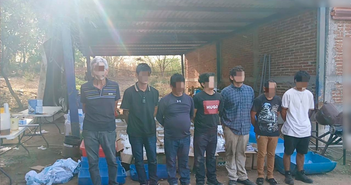La Semar asegura laboratorio y bodega, y detiene a 7 presuntos criminales en Sinaloa