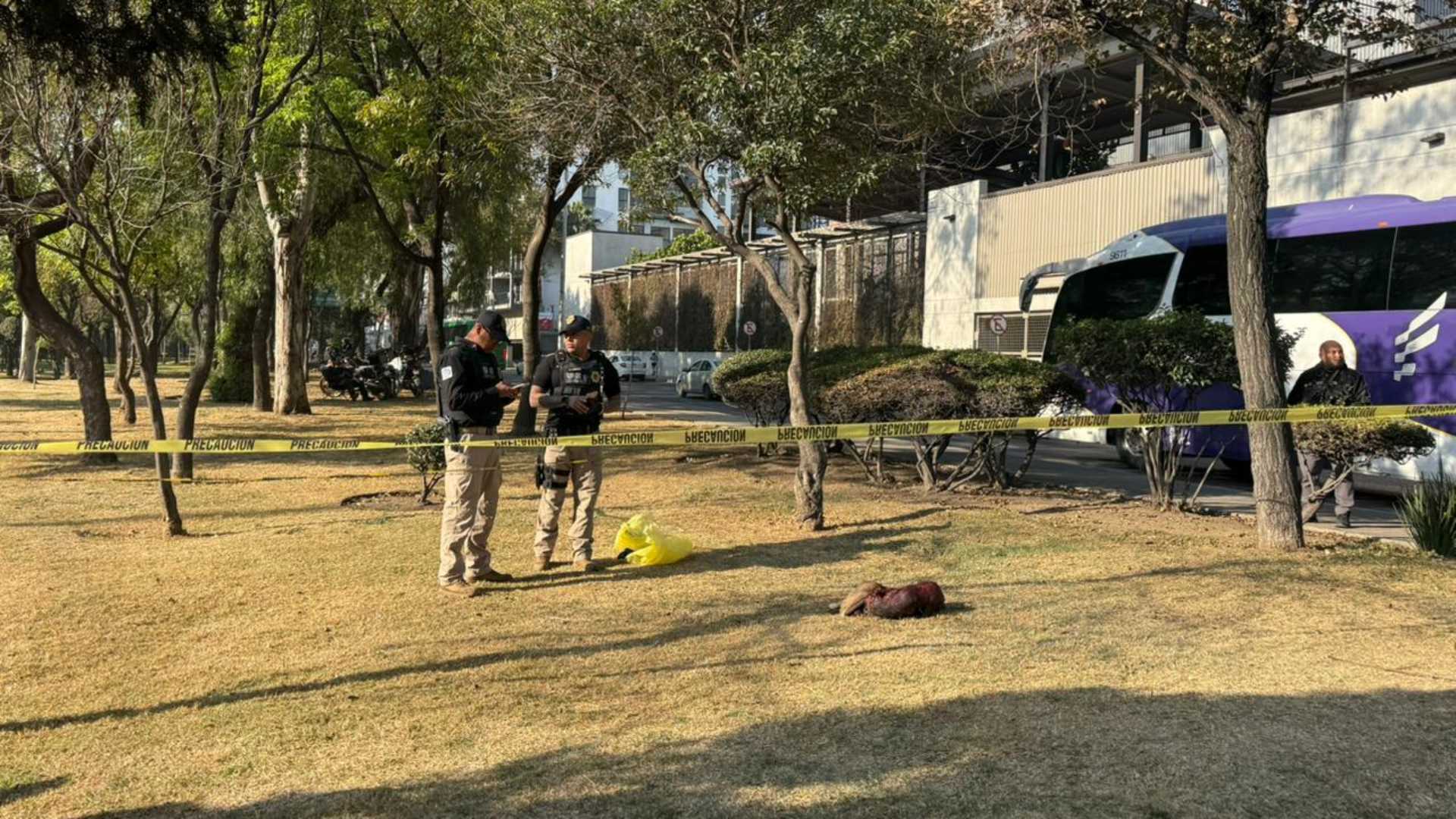 Sujeto mata a dos perros en Insurgentes Norte, CDMX
