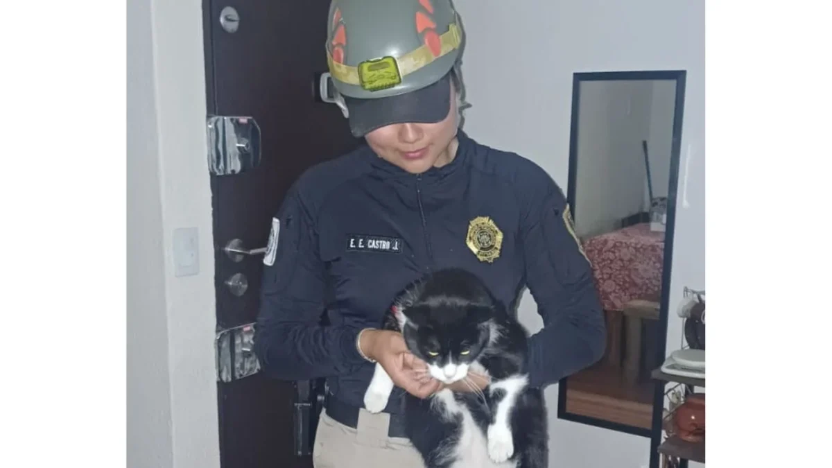 Atienden y resguardan a 15 mascotas tras explosión en Paseos de Taxqueña