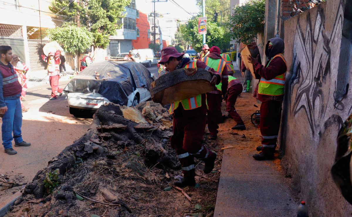 SSPC atiende incidencias delictivas durante Fin de Año en Operativo ‘Navidad Segura’