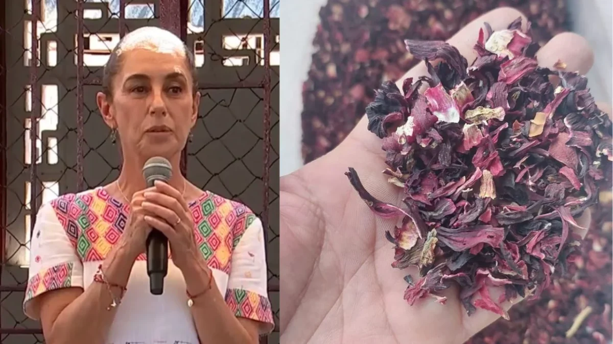 Sheinbaum impulsa la Jamaica del Bienestar