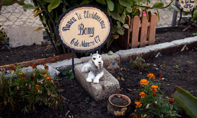 Las mascotas podrán ser enterradas junto con sus dueños en San Pablo