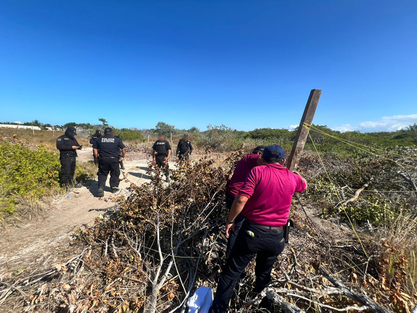 Profepa vuelve a clausurar terrenos en Chelem por daños al manglar