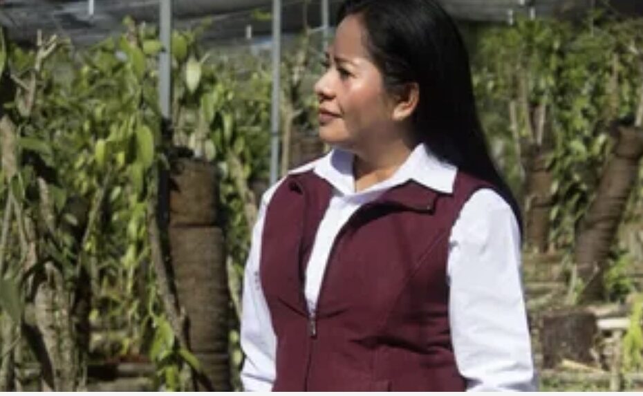 ¿Cómo fue el ataque contra Alicia Guerrero, alcaldesa de Ayotoxco de Guerrero, Puebla?