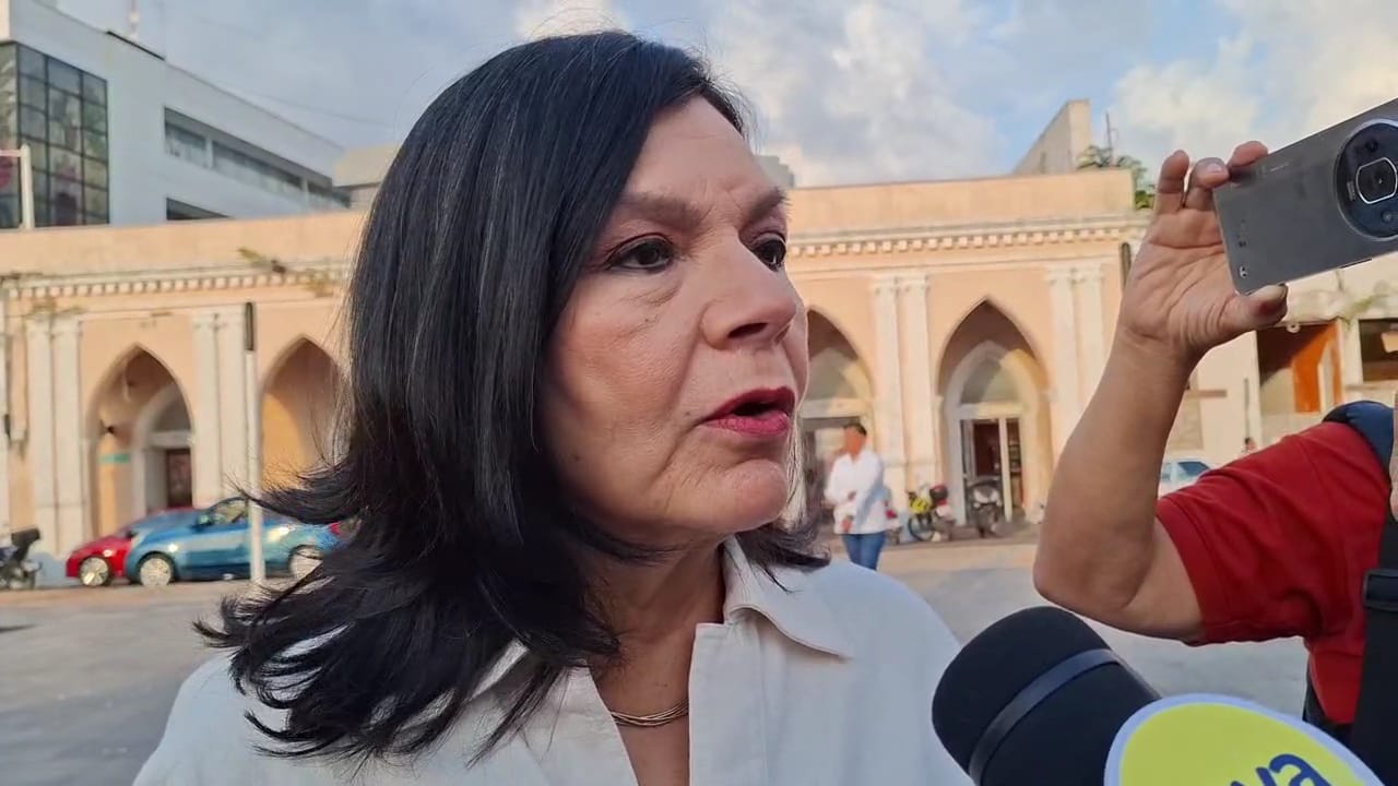 En diseño, el nuevo Malecón Andador del río Carrizal