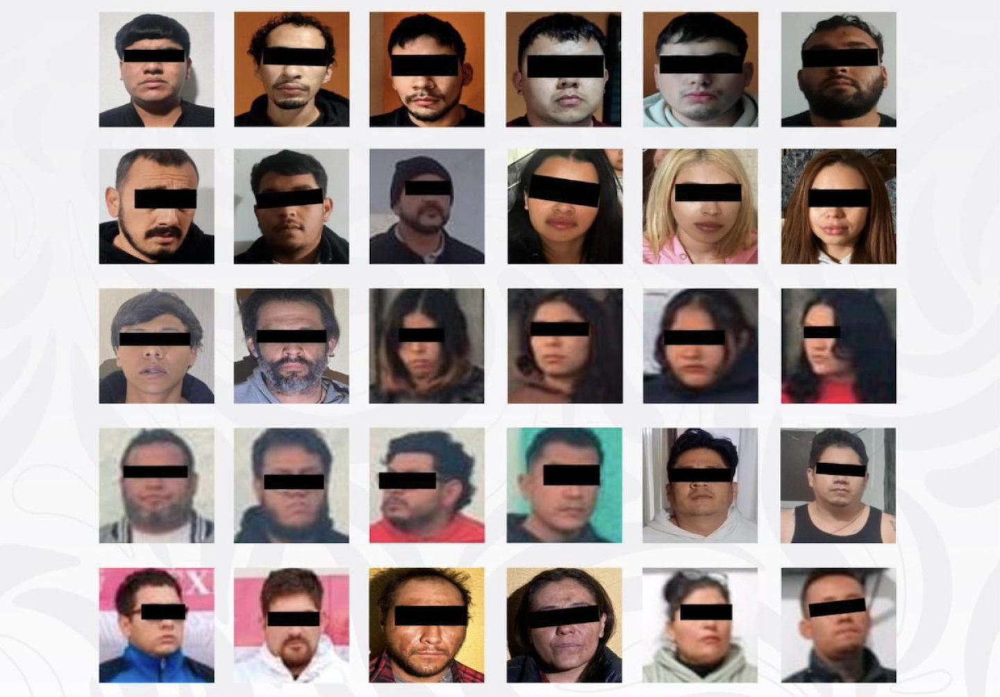 Detienen en Querétaro a 30 presuntos integrantes de una célula criminal