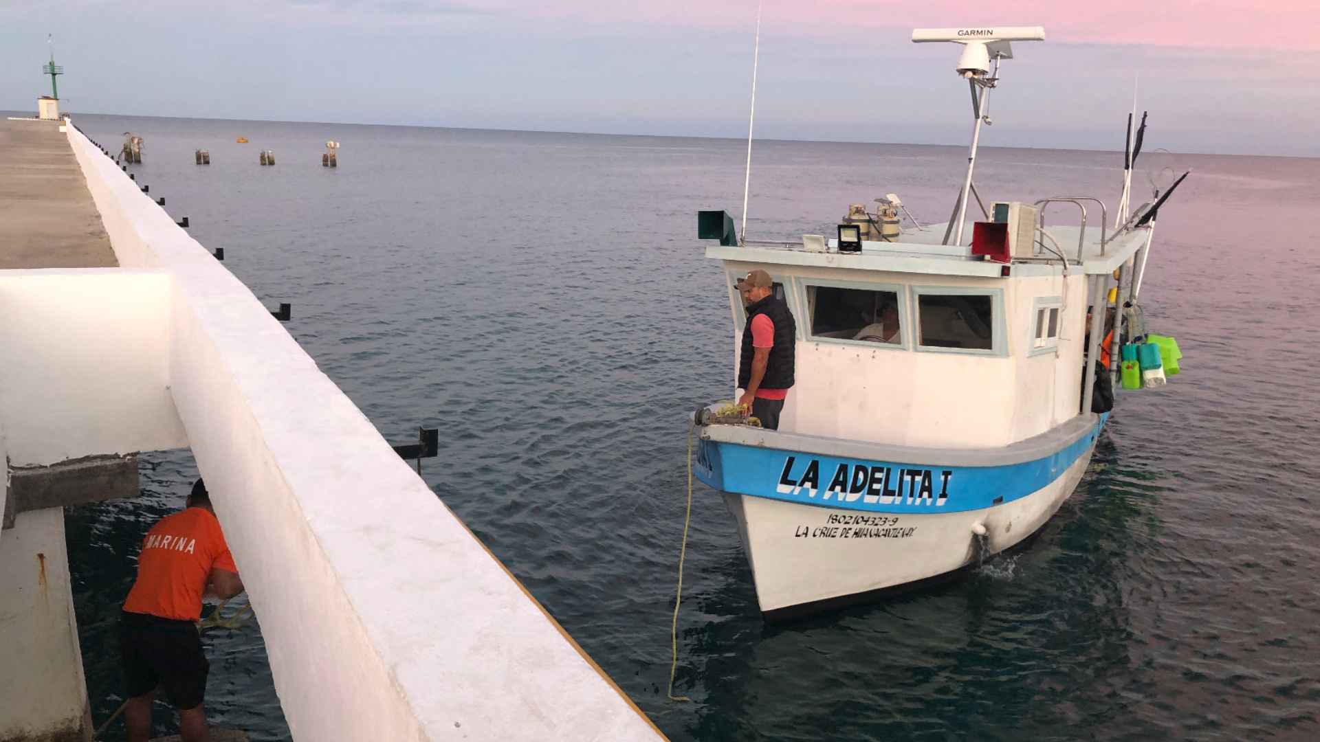 Marina asegura embarcación con 130 kilos de tiburón por pesca ilegal en Islas Marías
