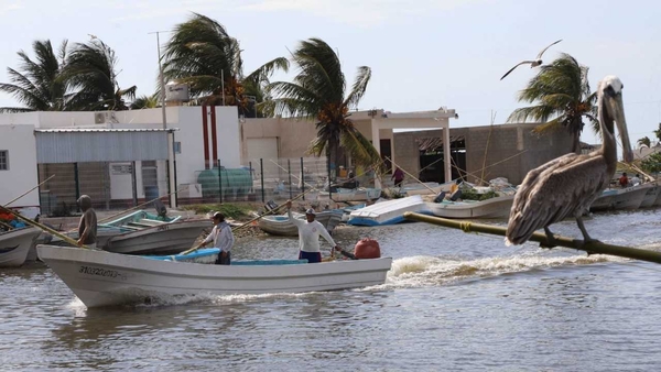 Refuerzan operativos contra pesca furtiva en Yucatán