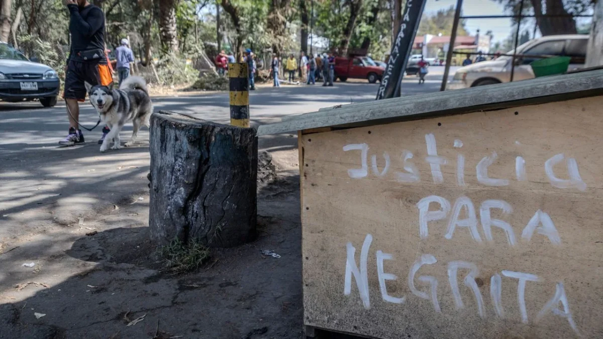 Vecinos alertan por presunto asesino de perros en Xochimilco
