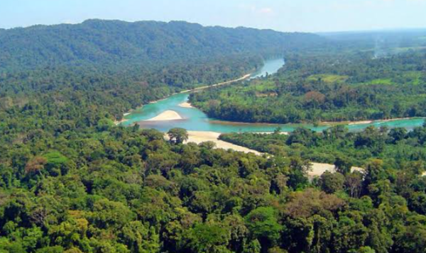 Rescatan con vida a seis personas en la Selva Lacandona