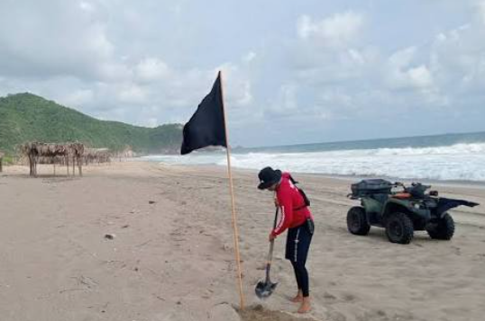 Bandera negra en playas de Colima por efectos de Polo: ¿qué significa?