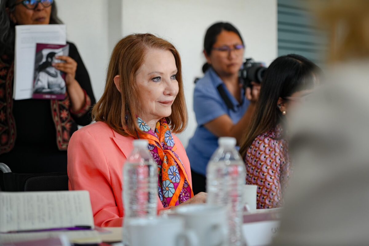 Laura Itzel Castillo impulsa agenda de igualdad entre México y Canadá