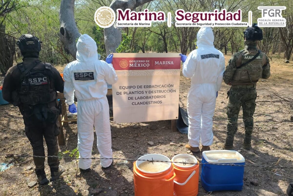 Localizan y neutralizan un laboratorio clandestino en Sinaloa