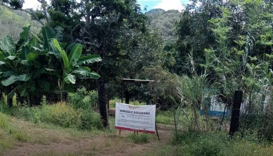 Nayarit: investigan hallazgo de posible centro de exterminio