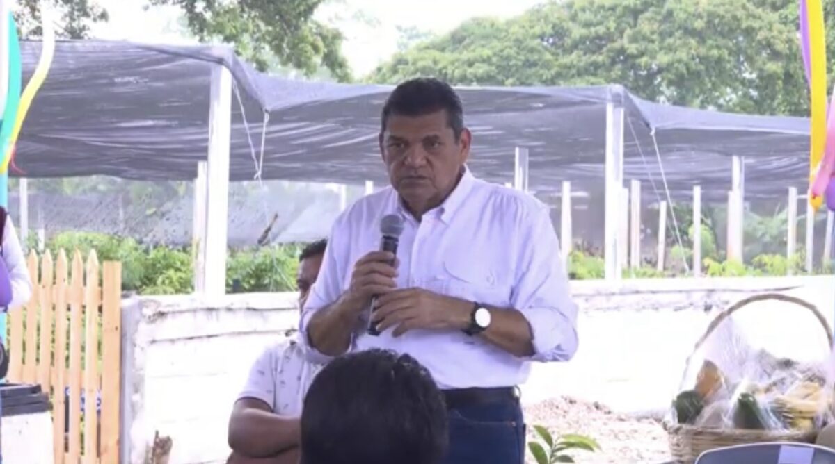 Acelera Gobierno del Pueblo rescate del cacao tabasqueño con módulos para garantizar precio justo