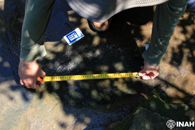 INAH confirma descubrimiento de 50 huellas de dinosaurios en Apatzingán, Michoacán